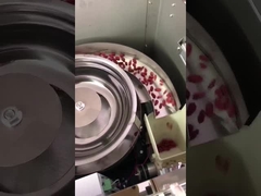 Máquina de embalagem de grânulos de tipo vertical multifunção para feijão de chocolate nozes lanches