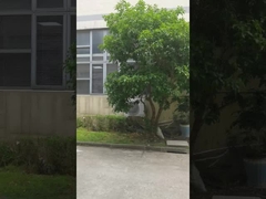 Máquinas de embalagem Fábrica 1